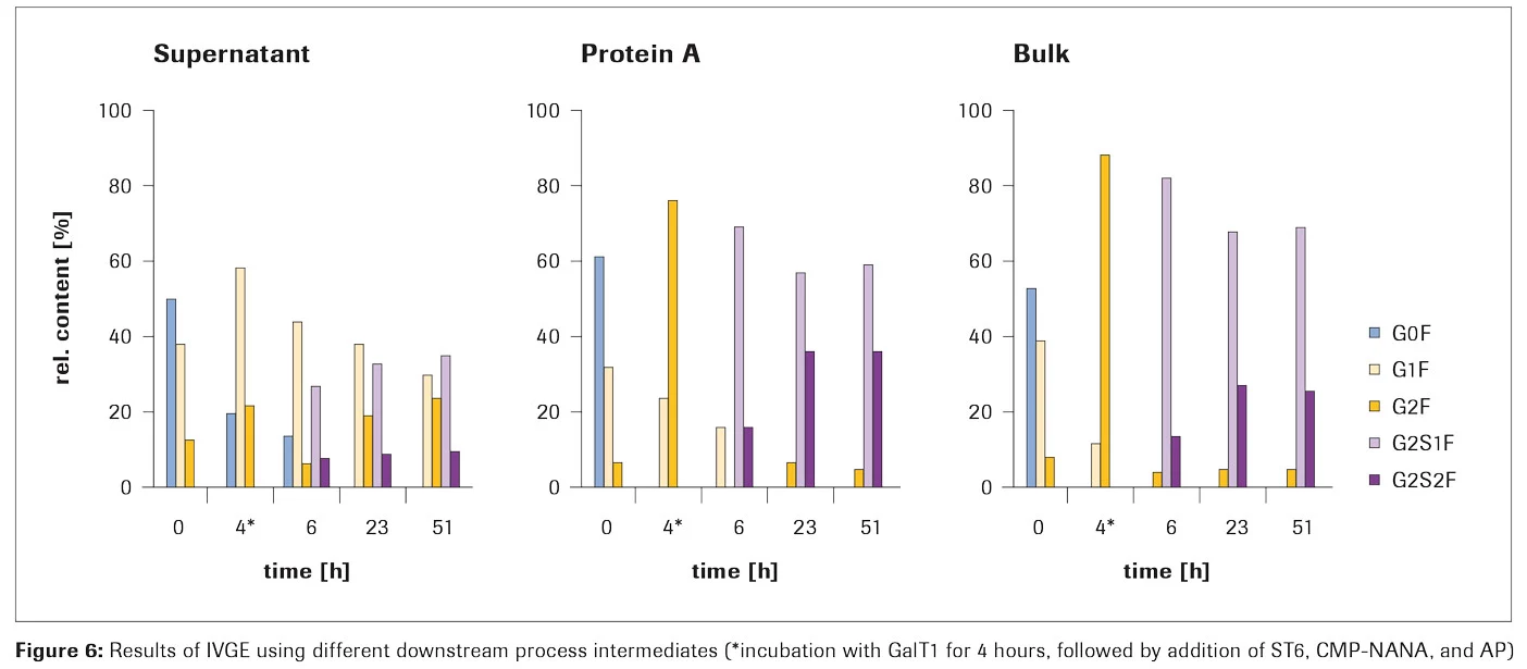 異なる下流工程中間体を用いたIVGEの結果（*GalT1と4時間インキュベーション後、ST6、CMP-NANA、APを添加）