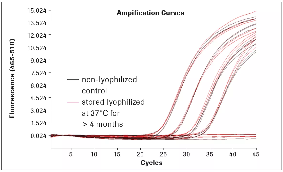 kapa 3g amplification curves