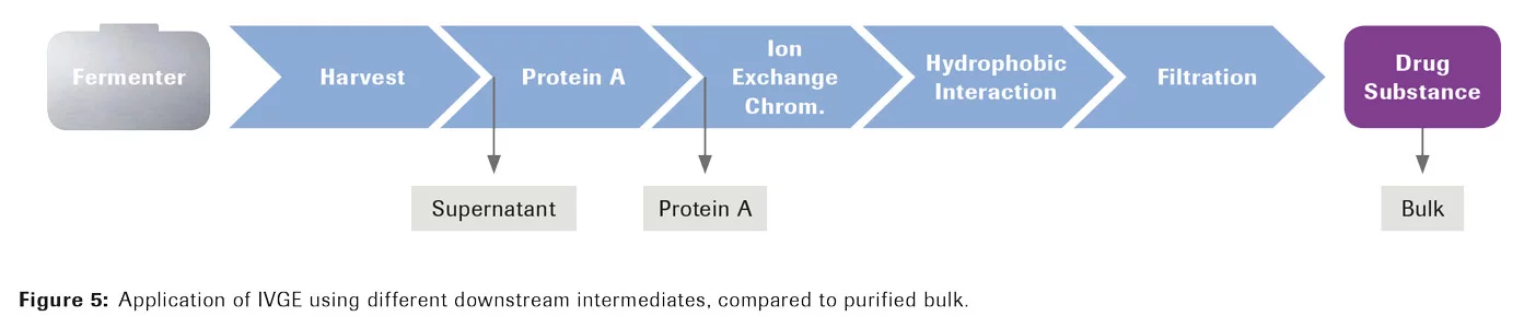 精製バルクと比較した、異なる下流中間体を用いたIVGEの応用。